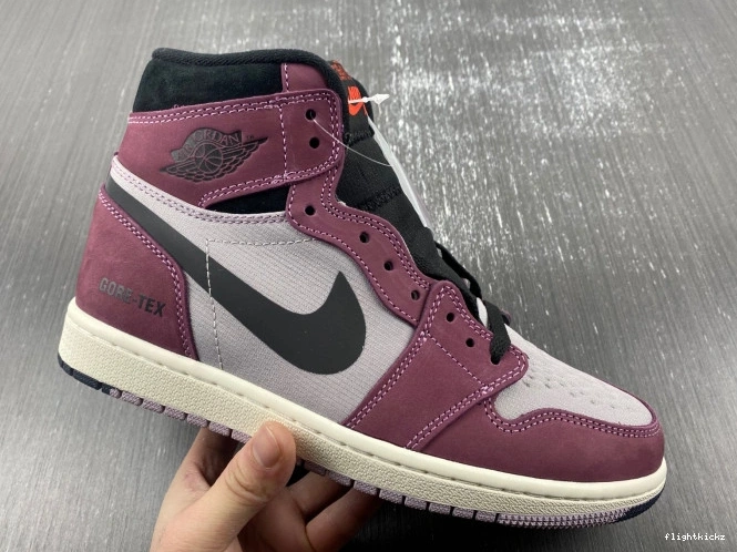 Jordan Gore-Tex Air Element 1 DB2889-500 0724